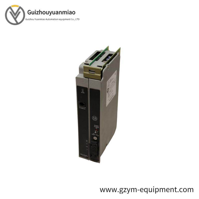 AB 1771-P5E input voltage