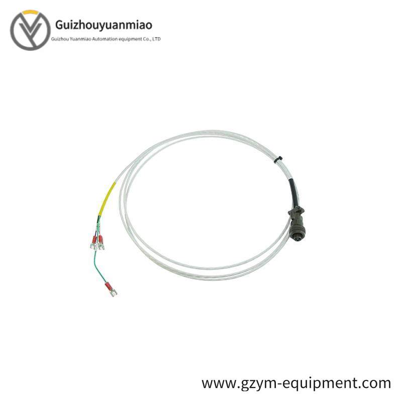 BENTLY Temperature monitor 3500 / 61-01-00 (163179-02 & 133819-02)