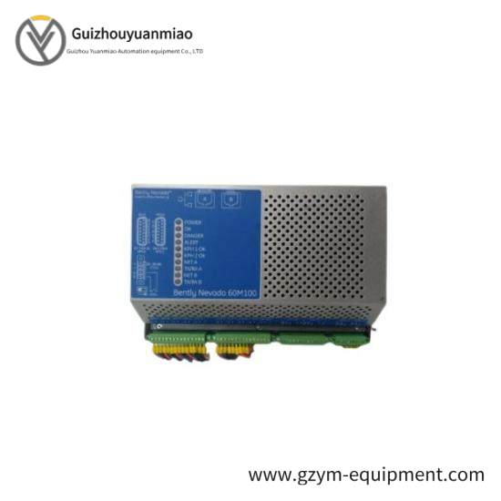 BENTLY NEVADA 60M100-00 Module