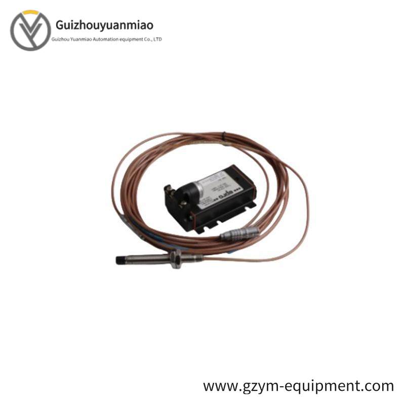 Emerson IC200MDD851