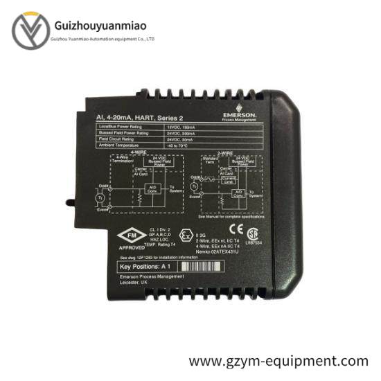 Emerson VE4003S2B2 DeltaV Analog Input Module