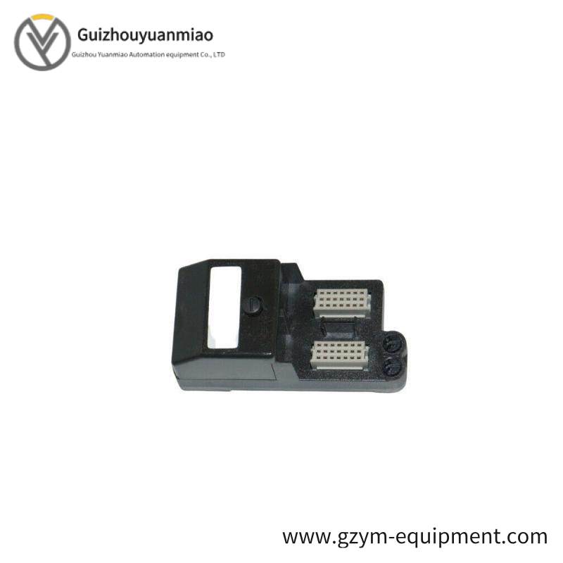 EMERSON VE4003S2B4 Analog Input Module
