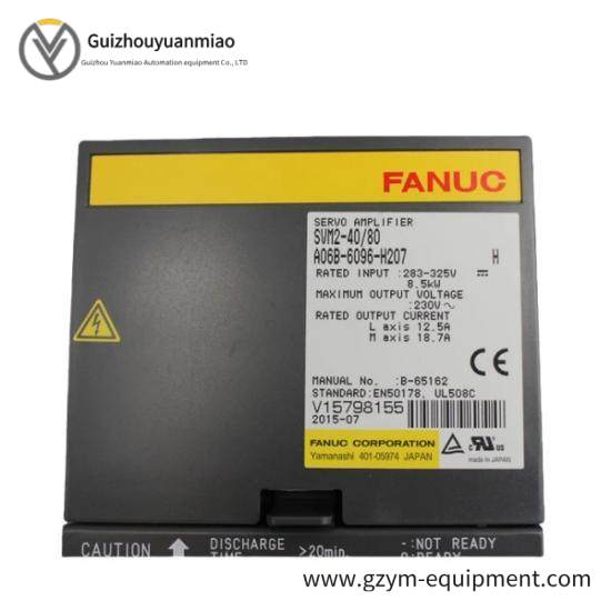 Fanuc A06B-6096-H207  GE Servo Module