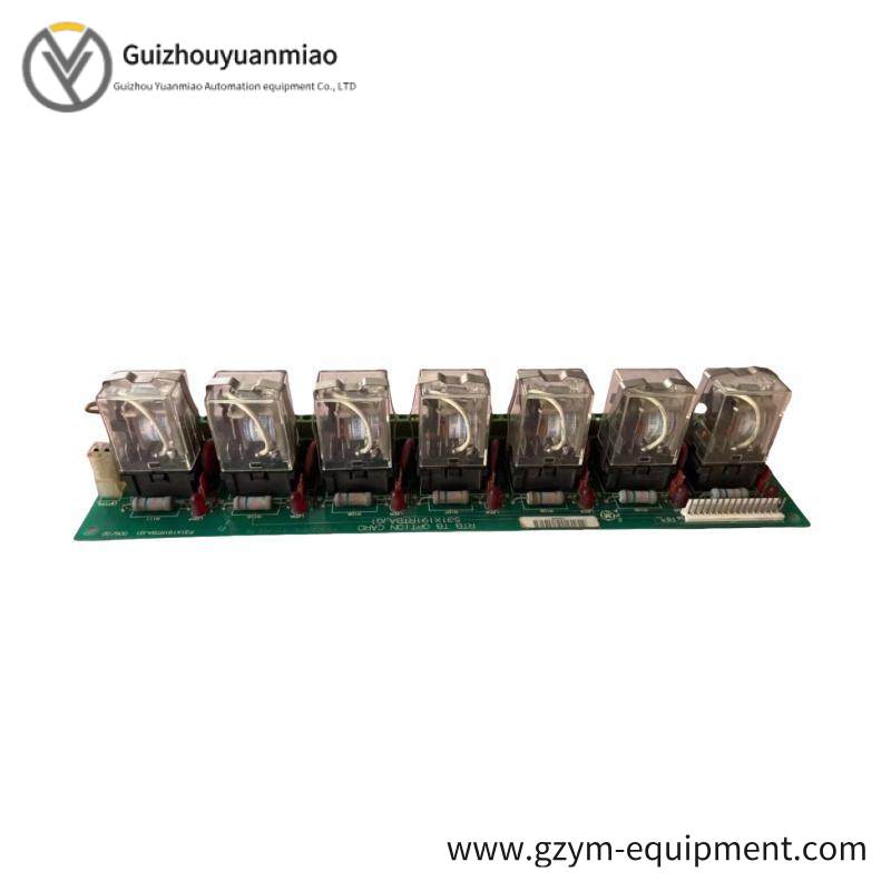 GE 531X191RTBAJG1 Option Card