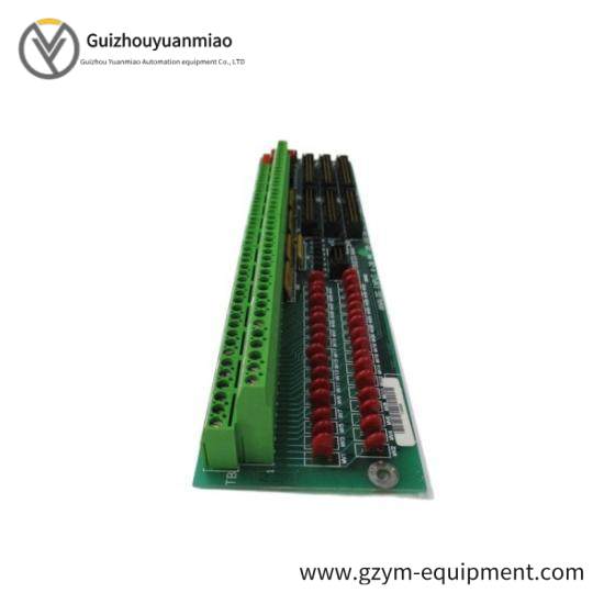 GE Fanuc DS200TBQCG1AAA  Terminal Panel