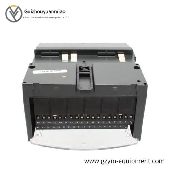 GE FANUC IC200CHS002