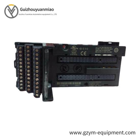 GE FANUC IC200CHS022 Controllers