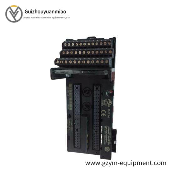 GE FANUC IC200CHS022 Controllers