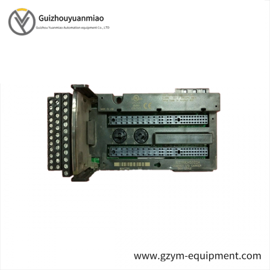 GE FANUC IC200CHS022A I/O Module