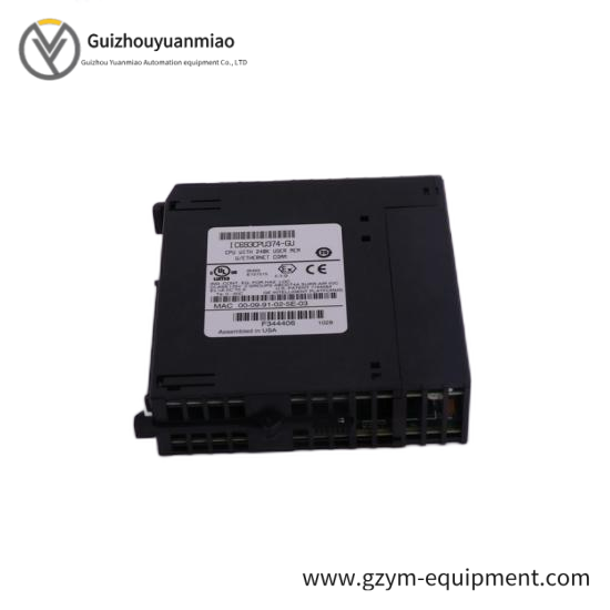 GE Fanuc IC697ALG234