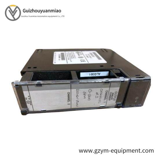 GE FANUC IC693ALG391 Series 90-30