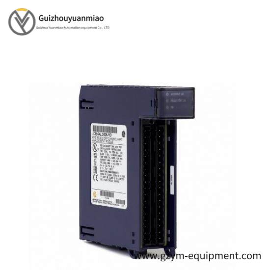 GE Fanuc IC695ALG112  PAC System