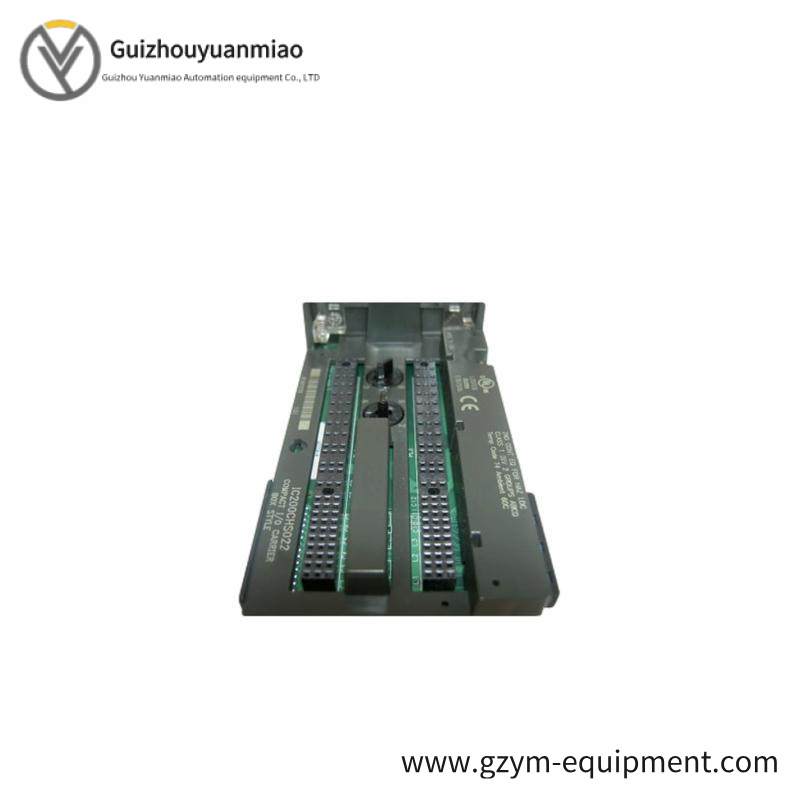 GE IC200CHS022 carrier module