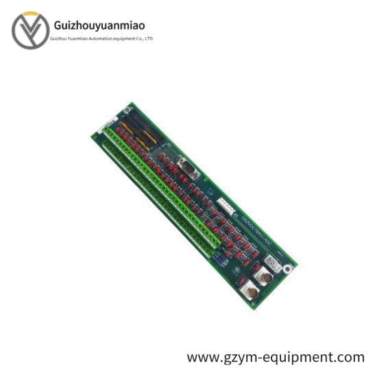 GE IS200SRTDG2A