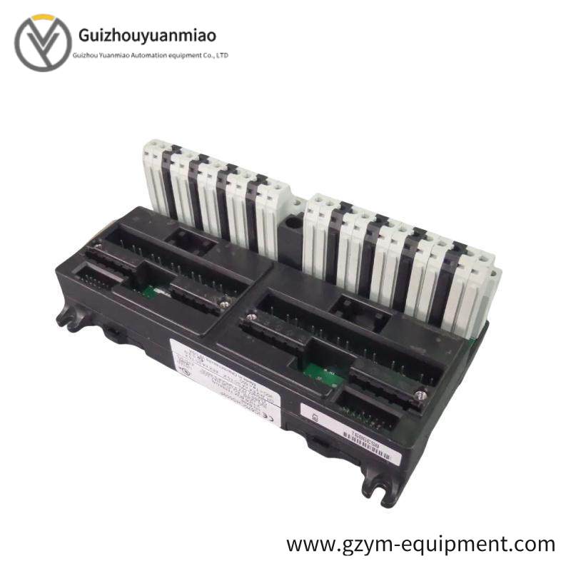 GE IC670CHS002 I/O terminal block