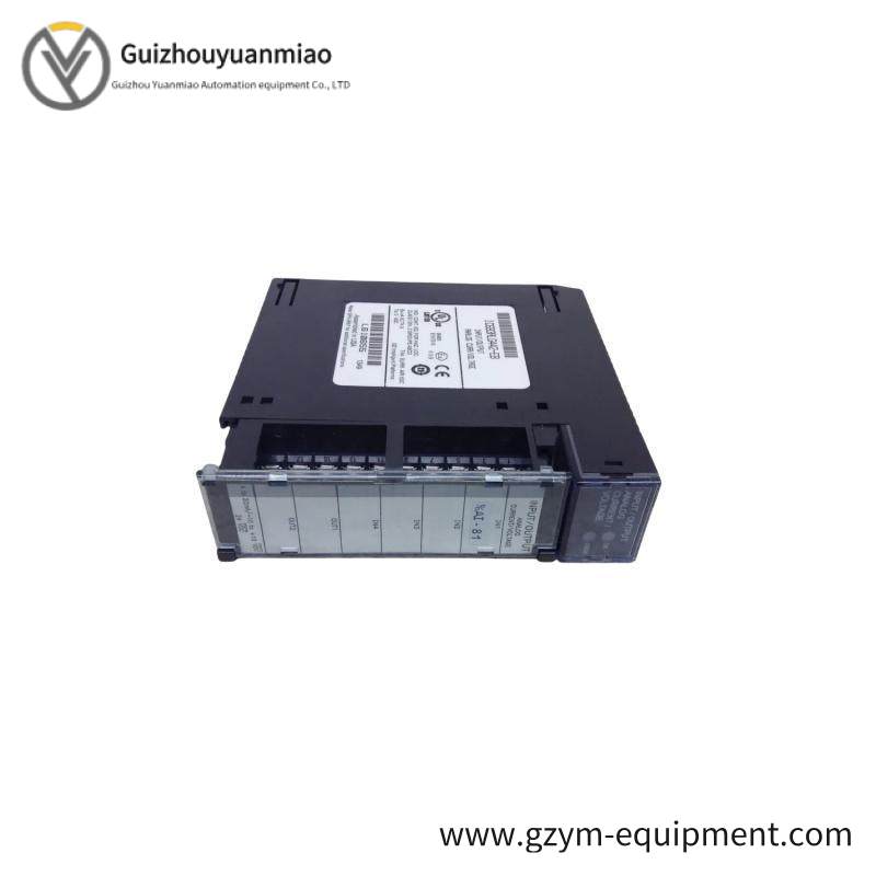 GE IC693ALG442 Analog I/O module