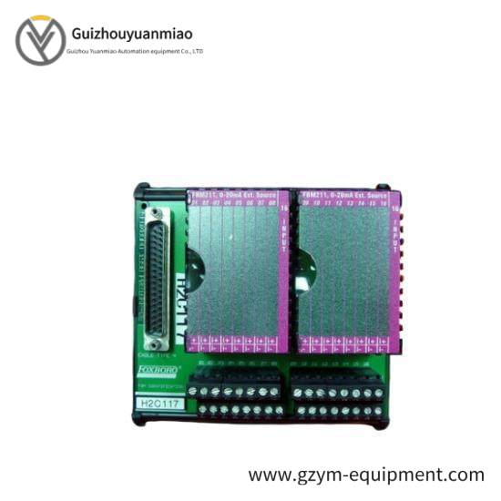 P0916BT  I/A Series Module  Foxboro