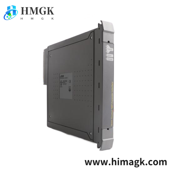 ICS TRIPLEX T8111C