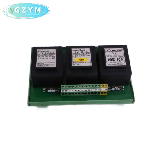 ACUITY IMAGING INC 070-200000