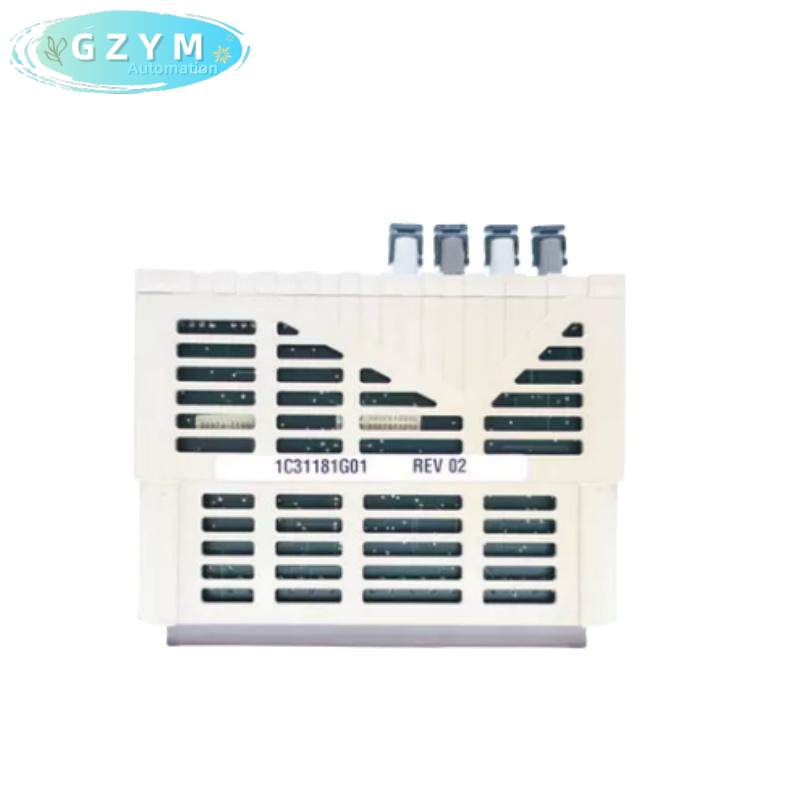 EMERSON 1C31181G01