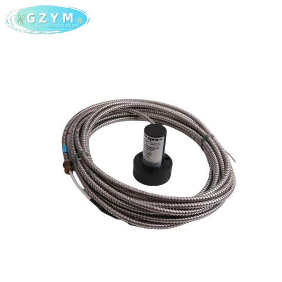 EMERSON PR9268/202-100