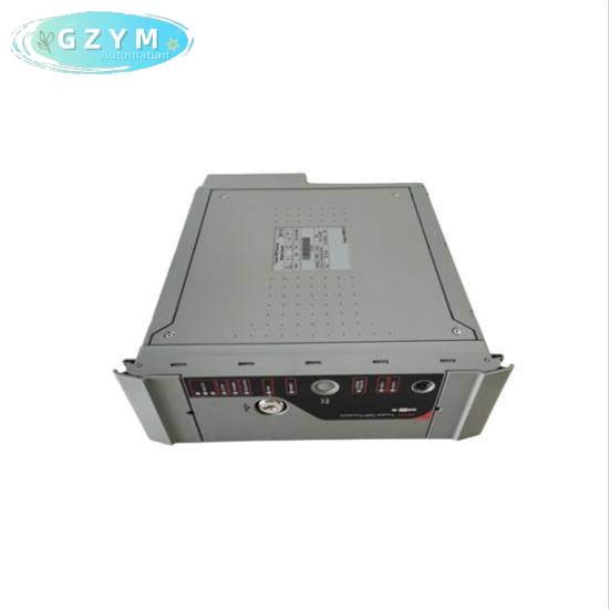 ICS TRIPLEX T8110C