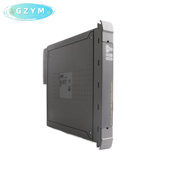 ICS TRIPLEX T8111C