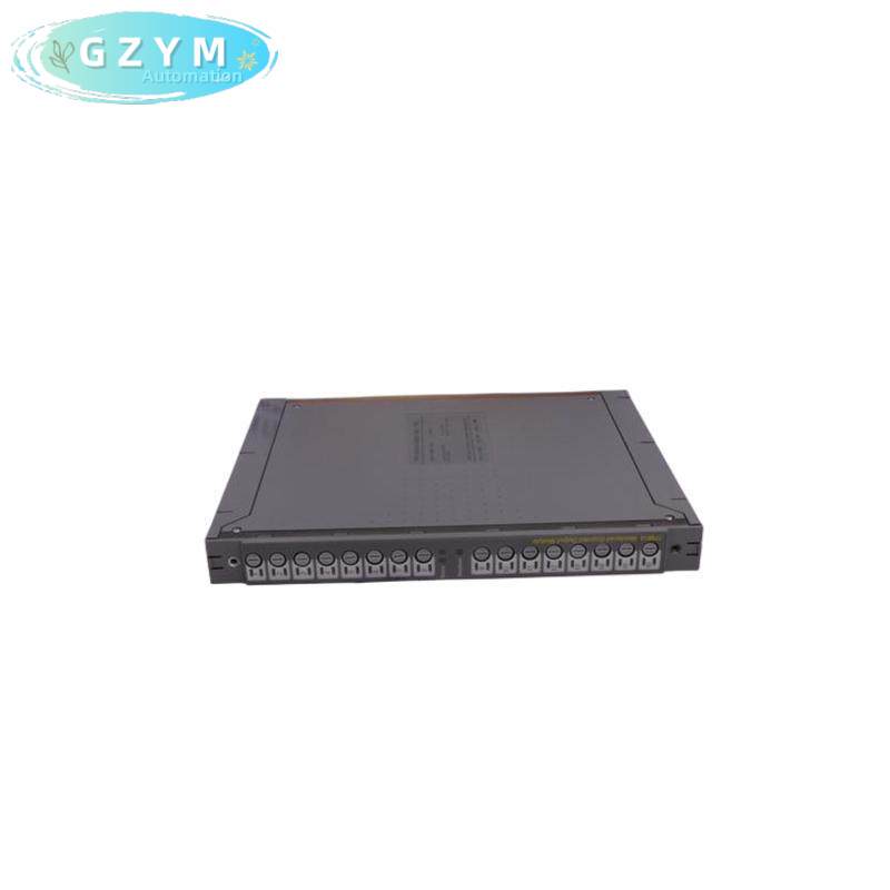 ICS TRIPLEX T8310