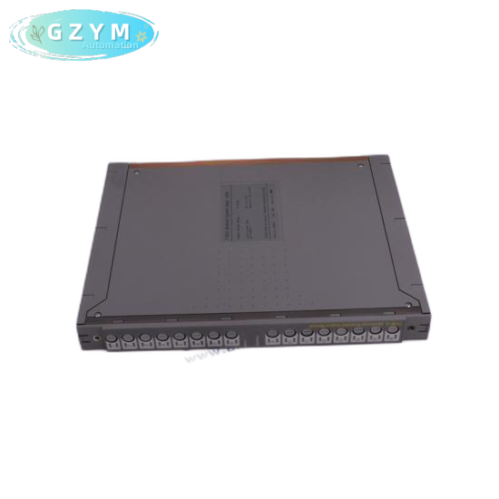 ICS TRIPLEX TC-201-01-6M5
