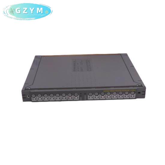 ICS TRIPLEX TC-301-02-2M0