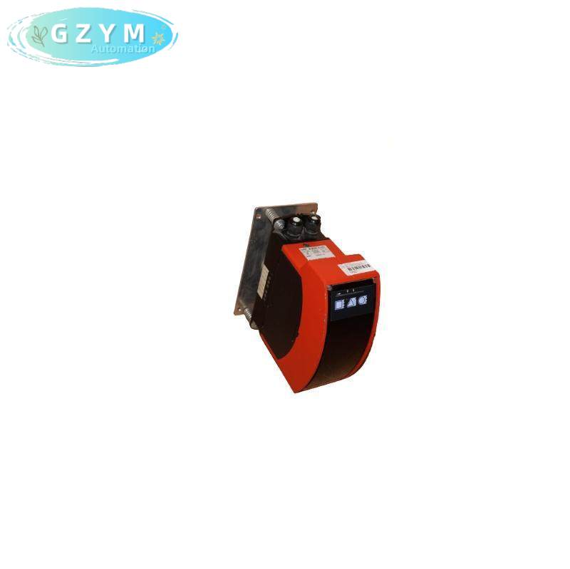 LEUZE DDLS 50125768