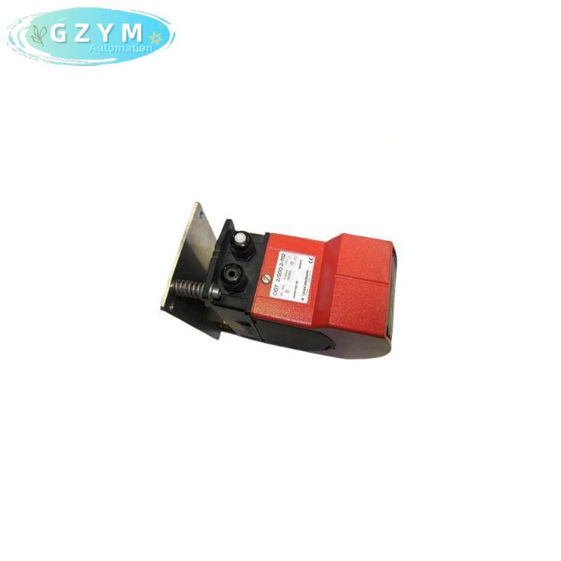 LEUZE DDLS 50125768