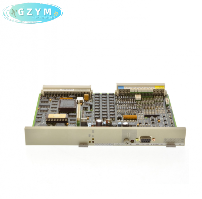 SIEMENS 6DS1723-8BA