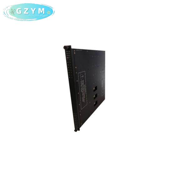TRICONEX 4119A