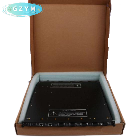 TRICONEX 9761-210