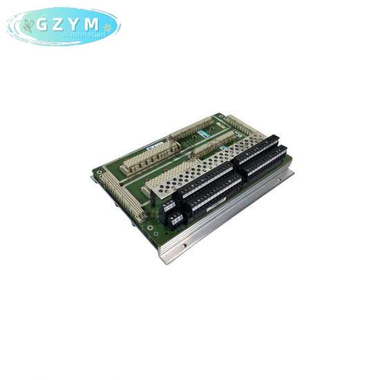 TRICONEX PM6301A