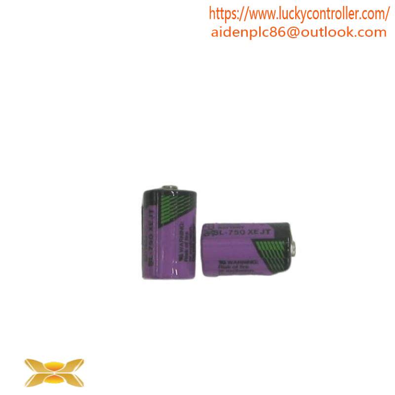 ABB SB808F 3BDM000199R1 SB 808F Battery for RAM buffering, 2 pcs