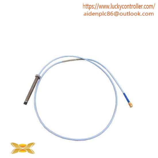 Bently Nevada 330101-00-63-10-02-00  TSI System