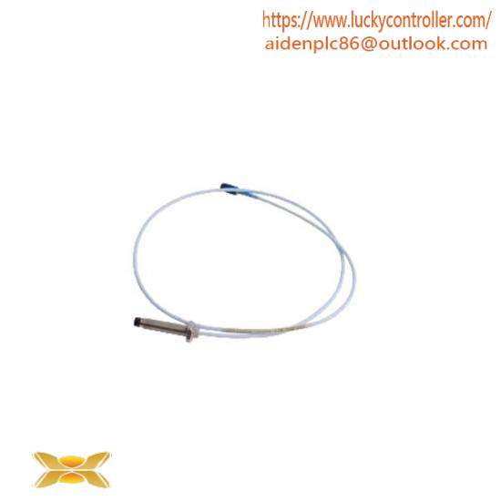 BENTLY NEVADA 330103-00-06-10-02-00 Vibration probe