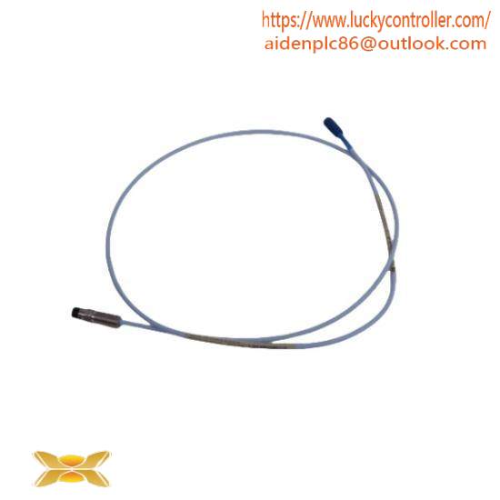 Bently Nevada Probe E2107/30/00/1/10 Extension Cable