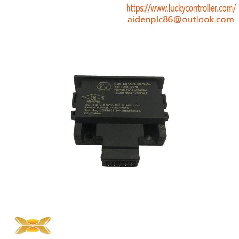 Emerson 12P4983X302 Charm Address Plug