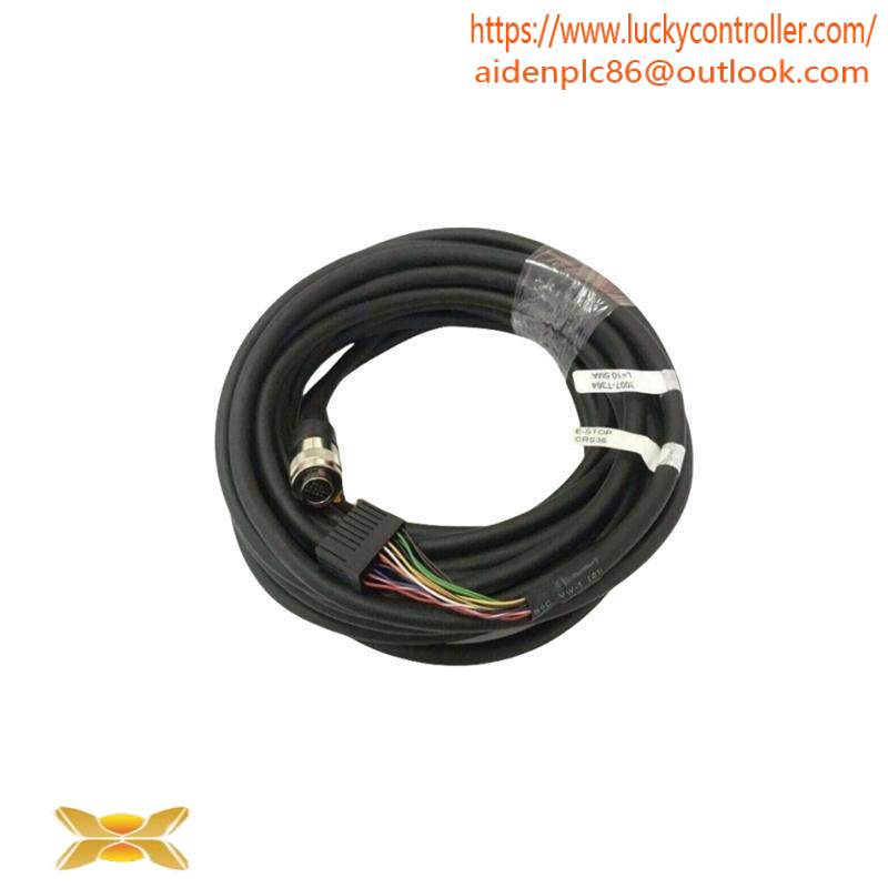 FANUC 2007-T364 Cable