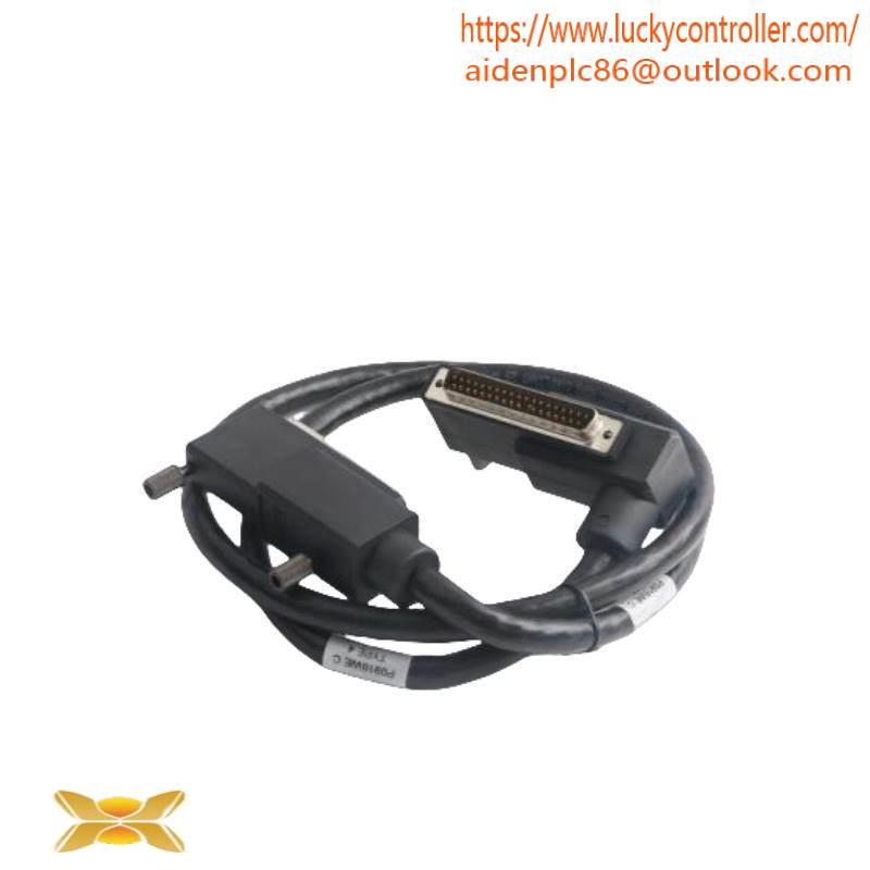Foxboro P0916WE TERMINATION CABLE