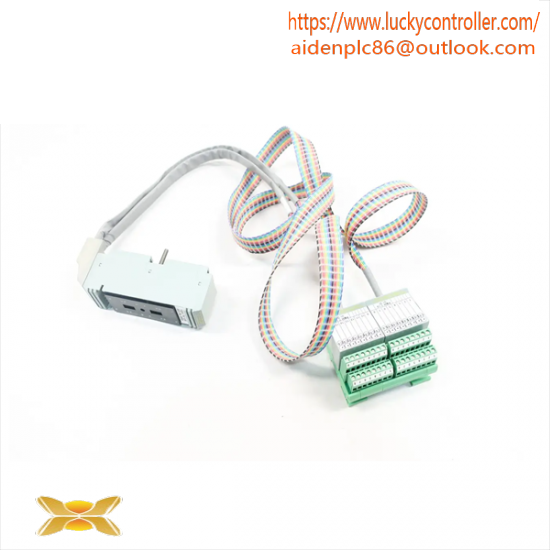 FOXBORO P0916WF