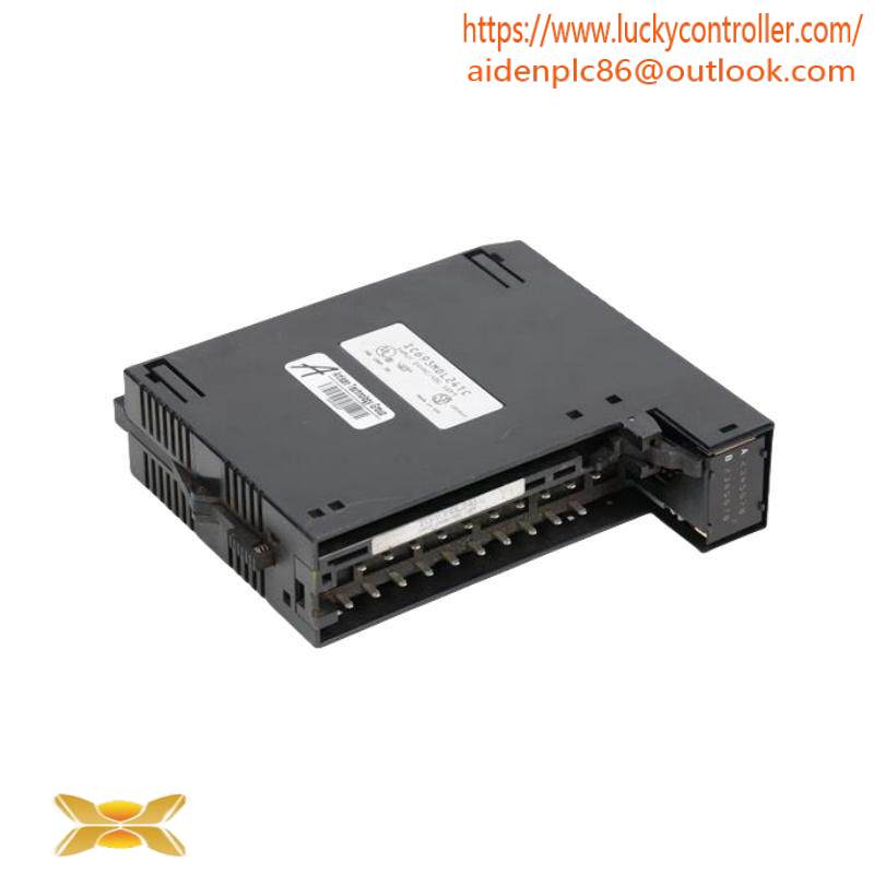 GE IC693MDL241 Positive/Negative Input module