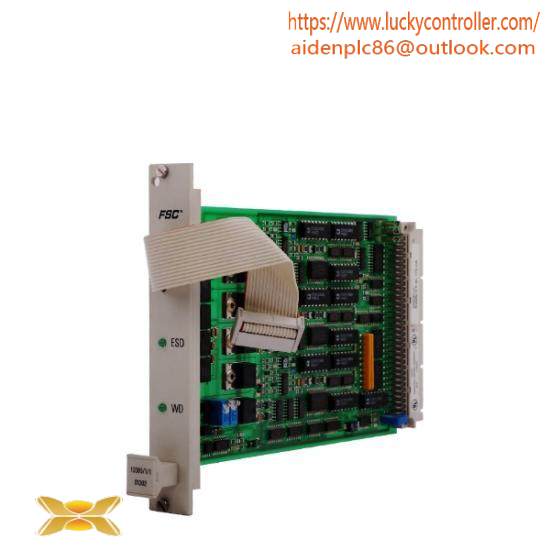 Honeywell 10005/1/1 FSC Watch Dog Module