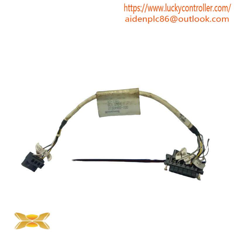 HONEYWELL 51304465-100 Cable