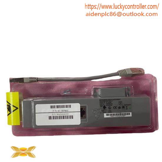 HONEYWELL 51304199-300