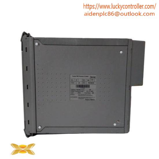 ICS TRIPLEX T8110C