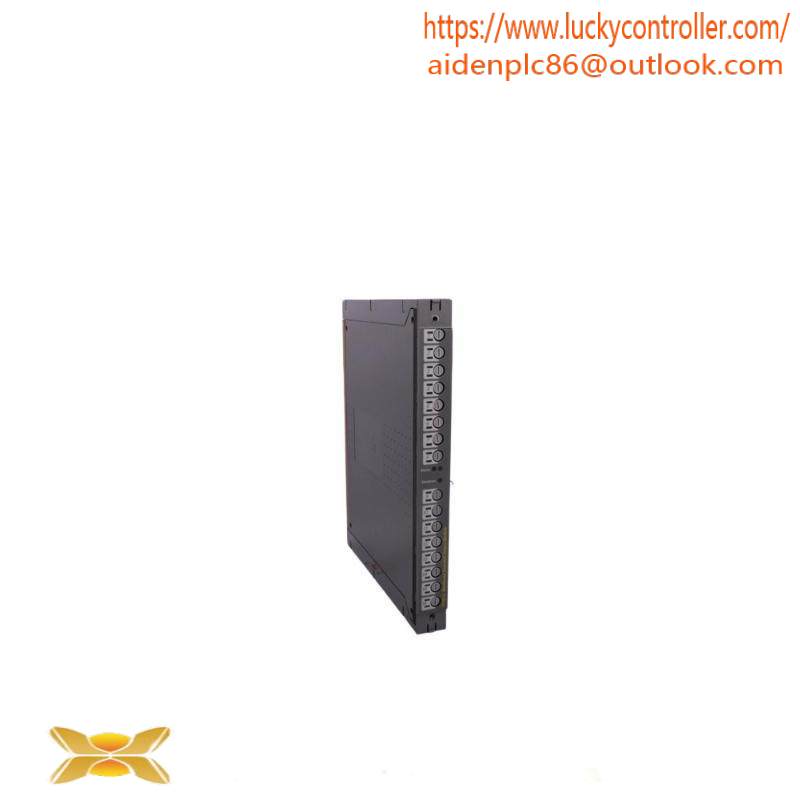 ICS TRIPLEX T811B Module